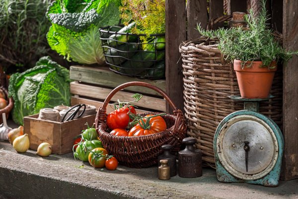 Comment organiser un festival de films amateurs dans votre quartier ?